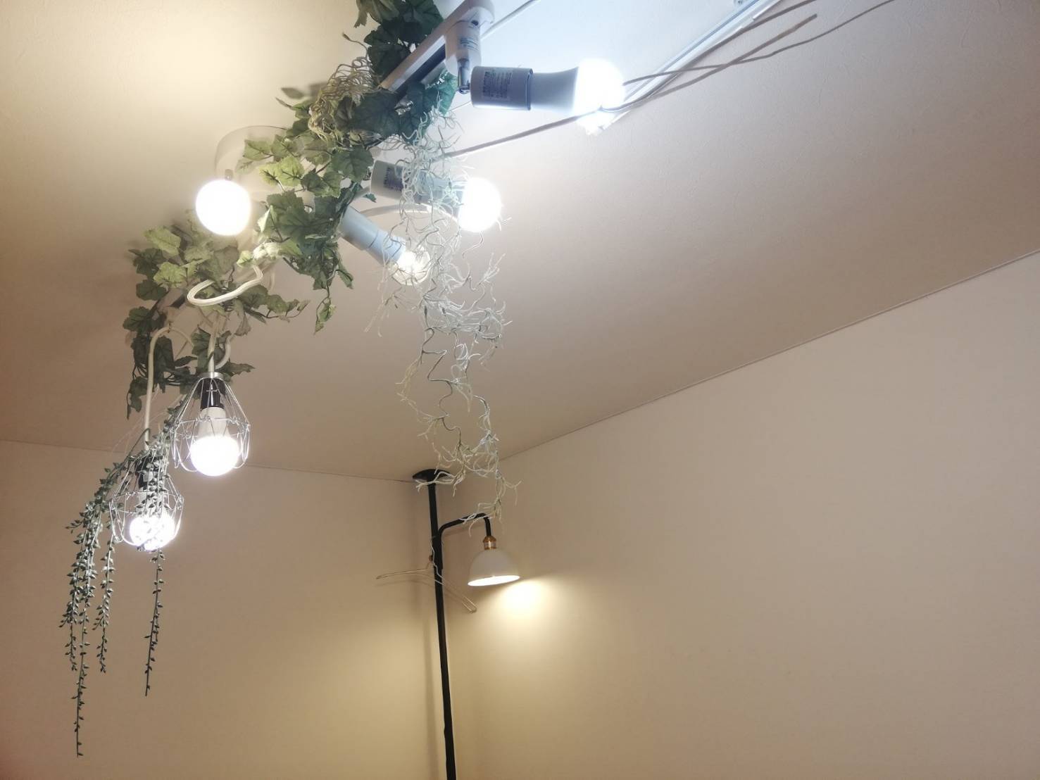 整体院の間接照明